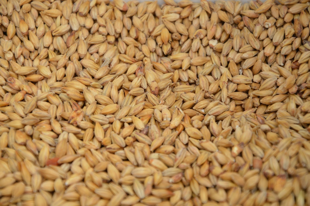 Agriculture commodities - Malt - Case study Agriculture commodities